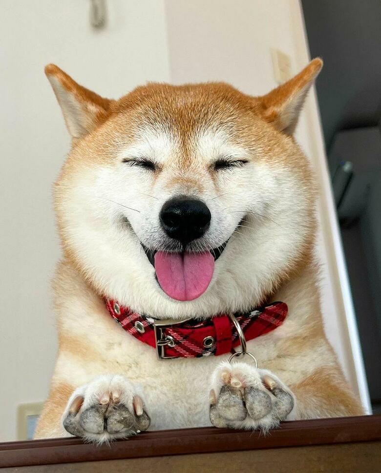 提供：橋本真実さん