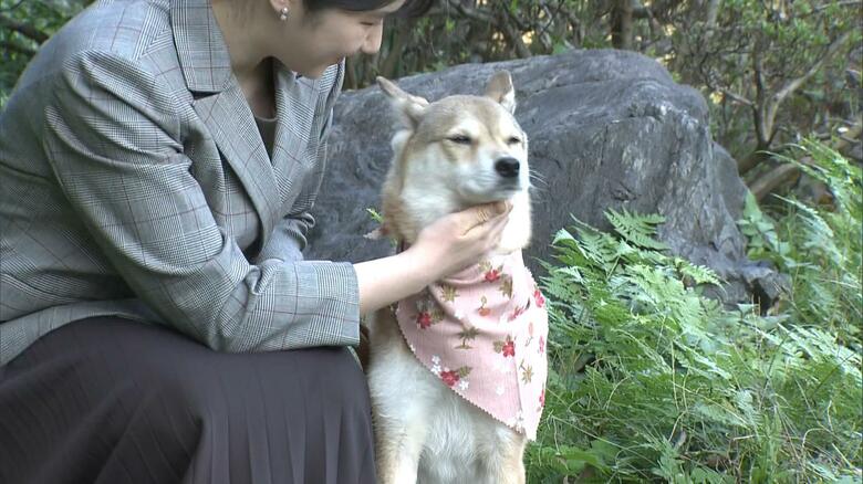 愛子さまの二十歳の節目も「由莉」と共に（2021年）