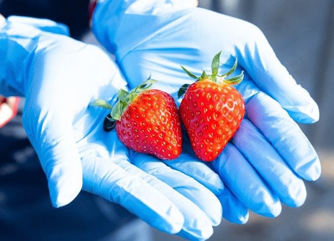 （出典:近鉄百貨店）