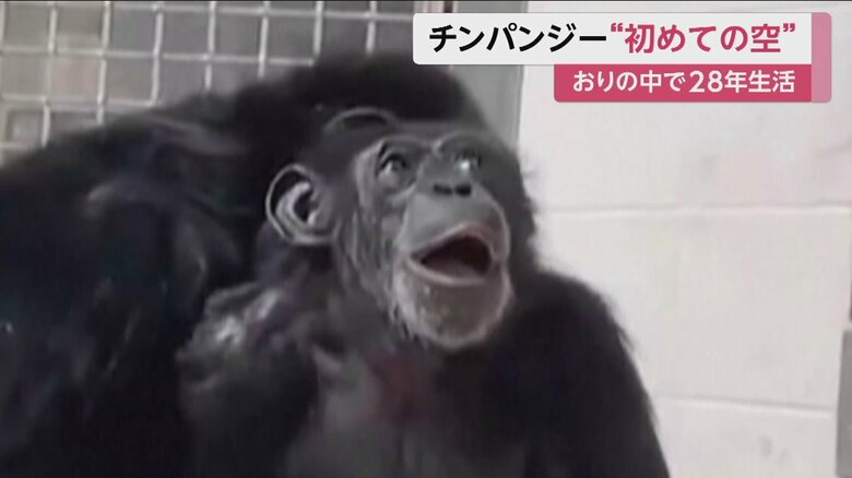 28年で、生まれて初めて見る空。目と口を大きく開け、驚いたような表情を見せた