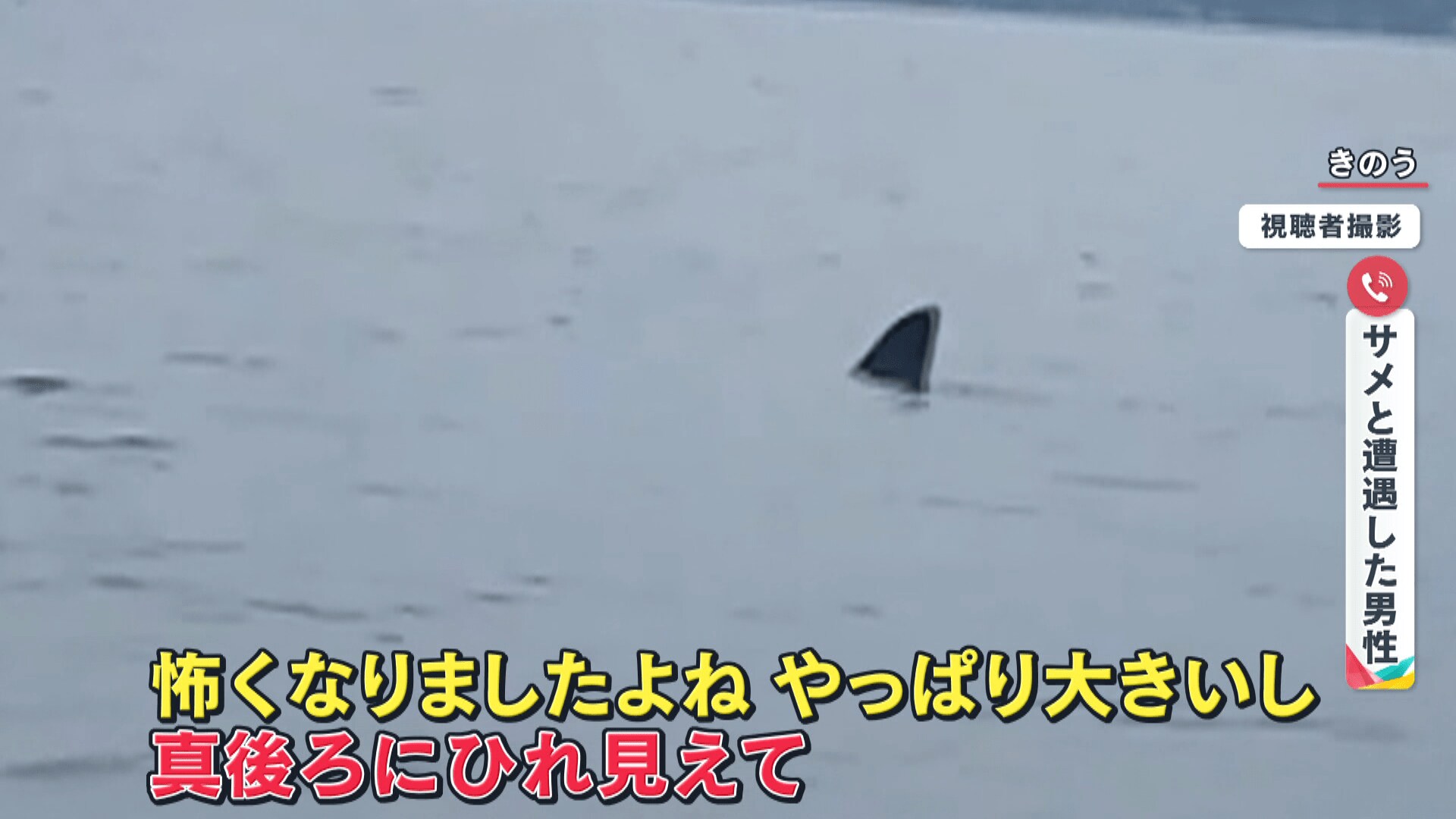 こわ でけえよ 海面に背びれ カヤック横にメジロザメ 新潟県で撮影者語るジョーズ遭遇の瞬間 Fnnプライムオンライン Goo ニュース