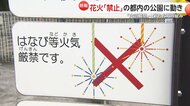 “夏休み限定”公園での「花火」解禁の動き 東京・港区、千代田区など…人気は「煙が少ない」最新花火