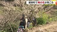 ウグイスの鳴き声と…砥部「七折梅まつり」３連休初日に開幕“春色の山里”「独り占め気分で」【愛媛】