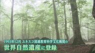 “核心地域分断の危機”乗り越え「世界自然遺産」に　登録から30年…白神山地のあゆみを振り返る
