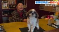 レトロ喫茶店の5代目看板犬シーズーの「こうたろう」くん　寒い日は“ちゃんちゃんこ”着てお出迎え　福井