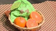 「玉太りもよく、甘くておいしい」　『越冬袋かけみかん』出荷始まる【熊本】