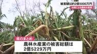 【台風30号】農林水産業の被害額　約2億5000万円
