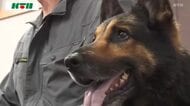 警察犬“お手柄”長崎市で行方不明になった小学生を発見！ドッグフード贈呈