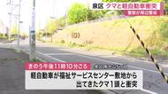 市道上で軽自動車とクマが衝突　体長１.５メートルのクマは逃走　警察が注意呼びかけ〈仙台市〉