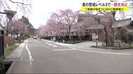 「角館の桜まつり」さらに規模縮小 「警戒レベル3」に観光地は 秋田・仙北市