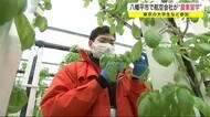 航空会社が“農業留学” 東京の大学生など参加<岩手・八幡平市>
