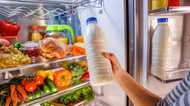 消費者庁の調査で分かったアナタの家の「食品ロス」を40%減らすコツ