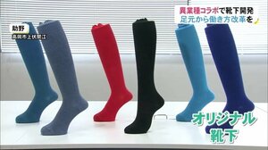 異業種がタッグ…新しい靴下を開発