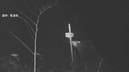 「クマ出没」桜の名所に入園規制　20日朝も複数箇所で足跡　猟友会ら捕獲用の“わな”設置　岩手・城山公園