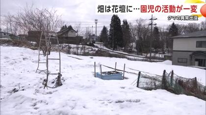 畑は花壇に　クマ出没増で変わる園児の野外活動　「クマ寄せ付けない環境つくっていく」　秋田・大館市