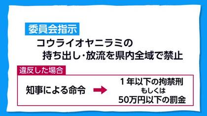 外来魚「コウライオヤニラミ」が清武川でも発見される　宮崎県内全域での持ち出し・放流禁止へ