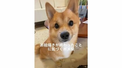 「終わった？」飼い主の様子を察知しすぐに反応！健気に待っていた犬がかわいい…いつものことなのか聞いた
