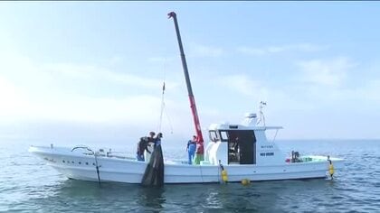 瀬戸内の旬の味覚『シラス』漁 解禁！「質はいい！美味しく食べていただけると思う。ホッとしてます」呉市