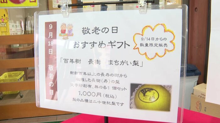 縁起の良い「まちがい梨」