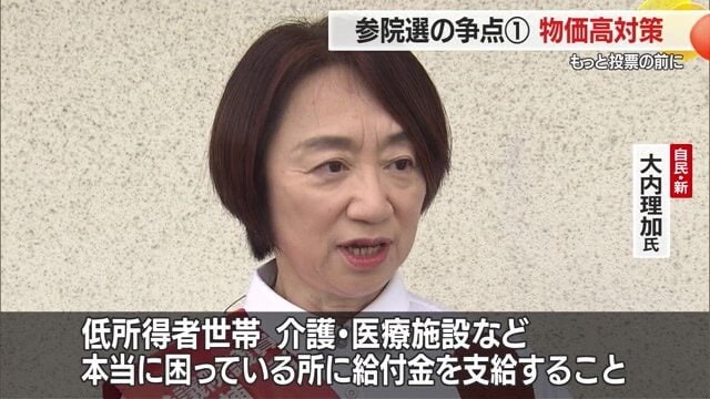 自民党・新人/大内理加氏