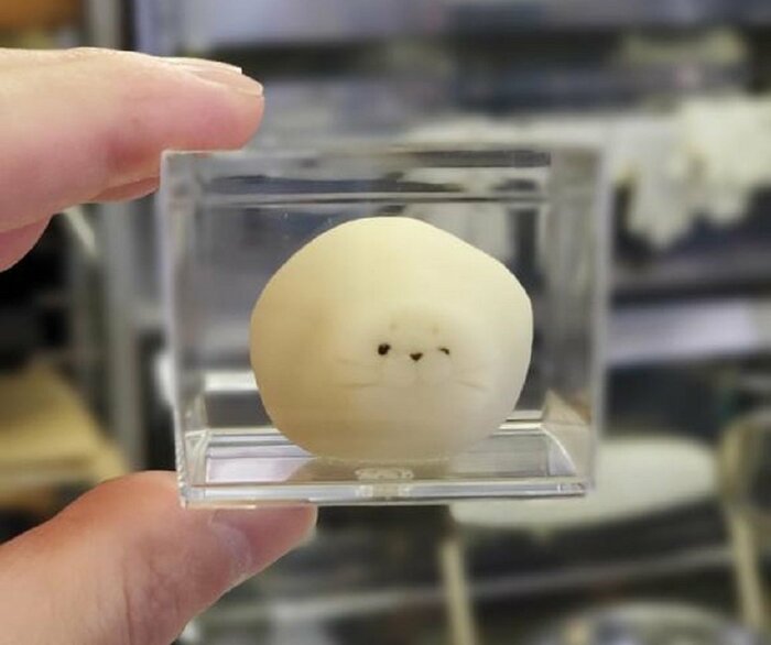 寒天を入れる前