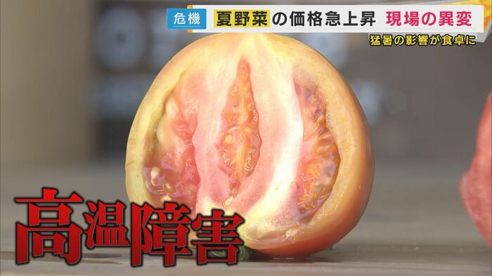 高温障害のトマト