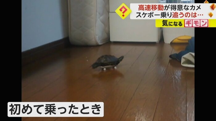 (撮影:アメチカンのもなさん)
