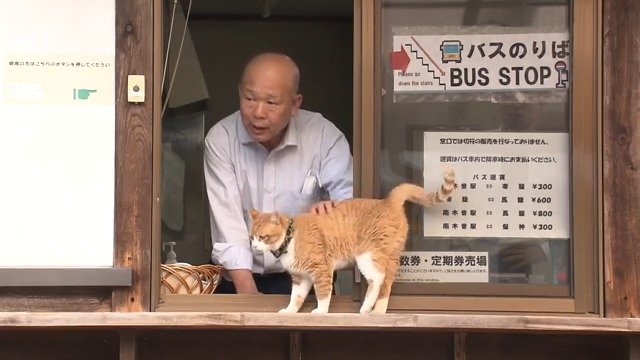 おんたけ交通　南木曽営業所で過ごす「みぃちゃん」