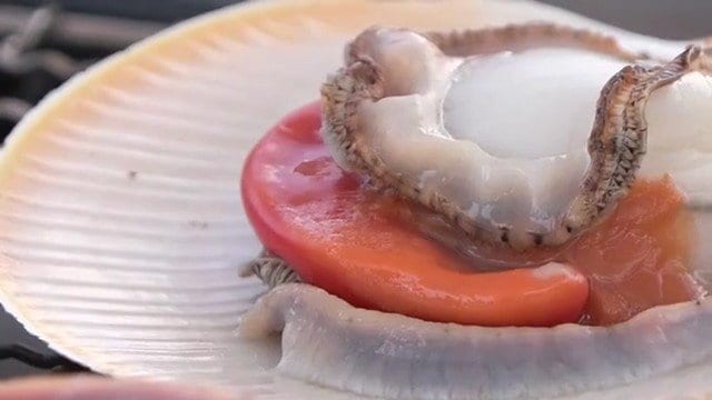 今が旬の月日貝