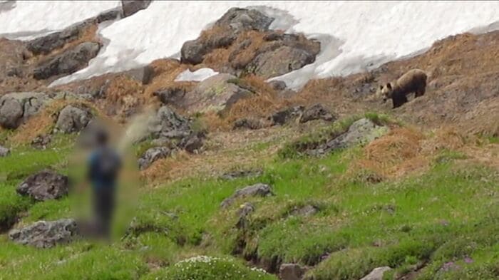 自らクマに近づいた男性がスプレーを噴射(撮影:視聴者)