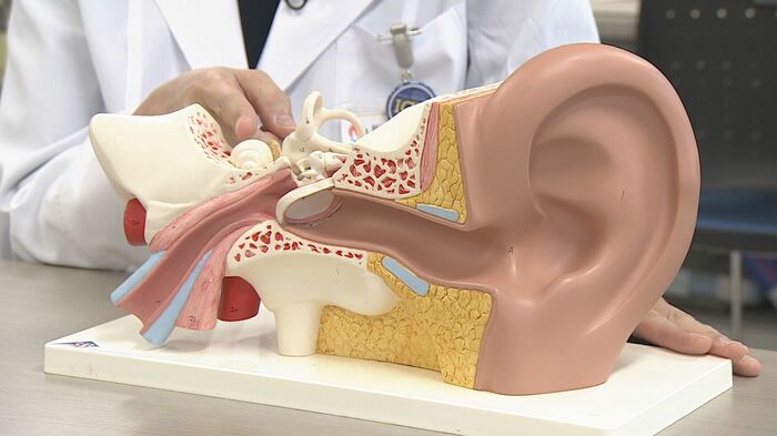 めまいの原因は耳の奥に