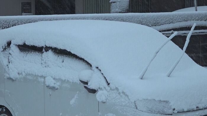 NST新潟総合テレビ