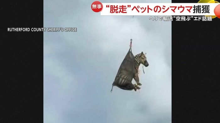 ヘリで空中輸送されるエド