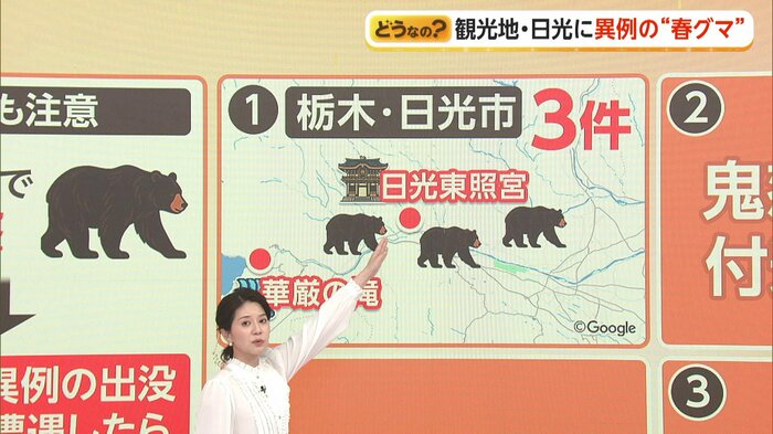 3月13日には日光東照宮から2kmの川で目撃