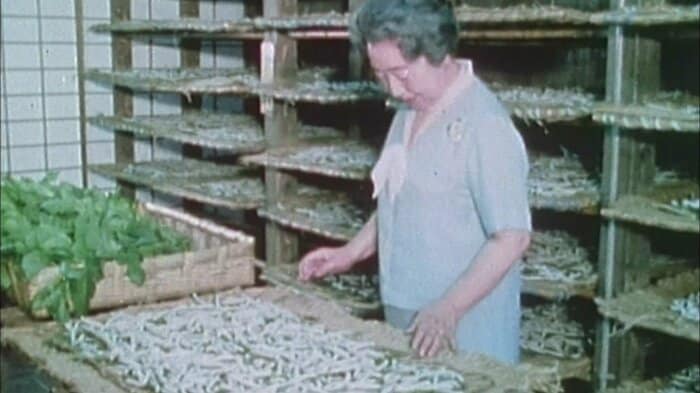 昭和45（1970）年　ご養蚕所での香淳皇后