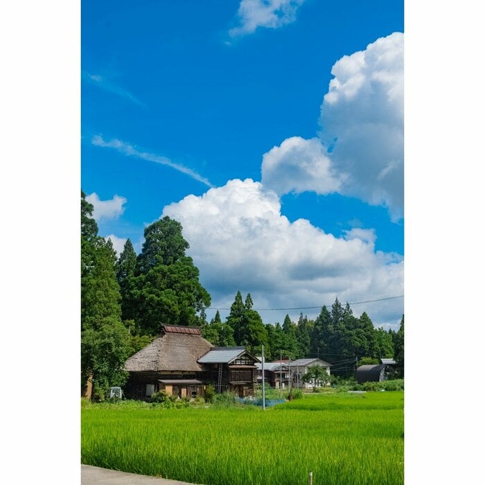 2025年8月撮影
