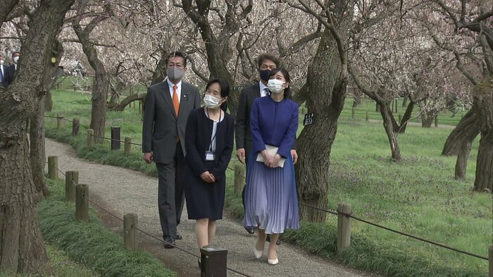 東西梅林をご散策