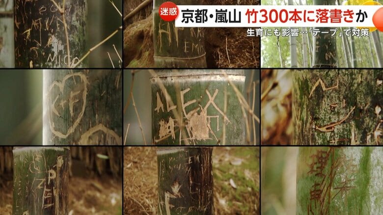 【迷惑】京都嵐山の名所・竹林の小径に落書き急増…ハートマークや名前など300本以上　専門家「傷つくと再生せず倒れることも」｜FNNプライムオンライン