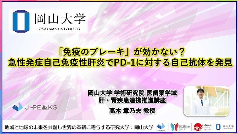 【岡山大学】「免疫のブレーキ」が効かない？急性発症自己免疫性肝炎でPD-1に対する自己抗体を発見