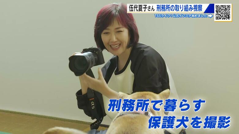 歌手の伍代夏子さん尾道刑務支所を訪問　保護犬とふれあう更生プログラム　伍代さんのアイデアがきっかけ｜FNNプライムオンライン