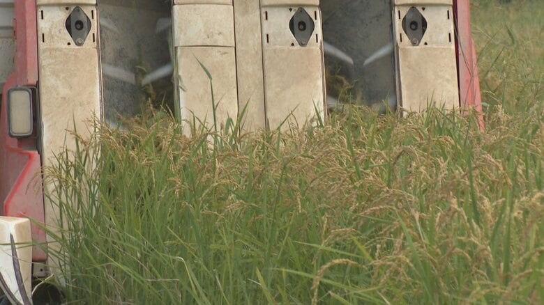 富山県産新米の概算金、過去最高値を更新 コシヒカリ1等米は60キロあたり2万6000円に　新米価格に影響か｜FNNプライムオンライン