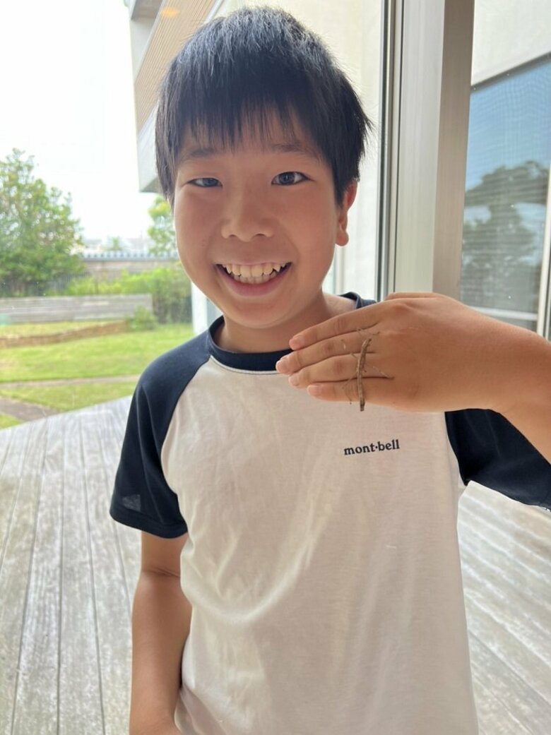 「ワクワクした」小学6年生が超激レアのトゲナナフシのオスを発見! “自ら飼育”虫好きぶりを本人に聞いた｜FNNプライムオンライン