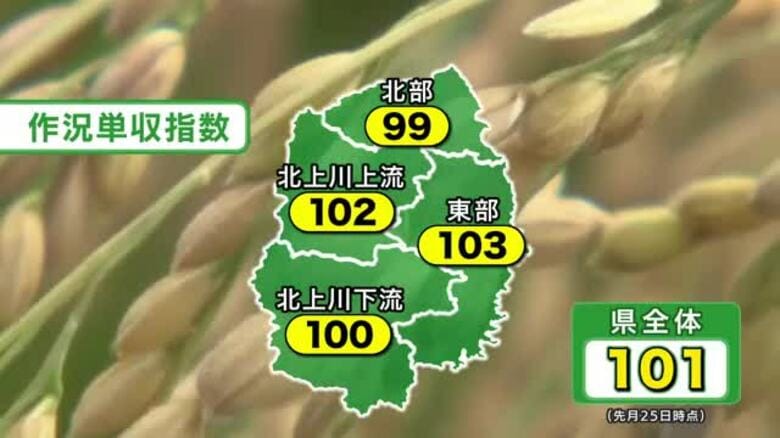 県内コメ収穫量 去年比1.5万t増の見込み　作況単収指数は101　農水省が発表　岩手県｜FNNプライムオンライン