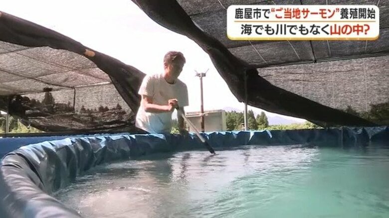 山の湧き水でサーモンを育てる　鹿児島の男性が挑む「大隅から世界へ」の夢｜FNNプライムオンライン