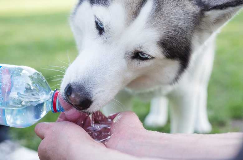 水分をしっかり摂るのが大切