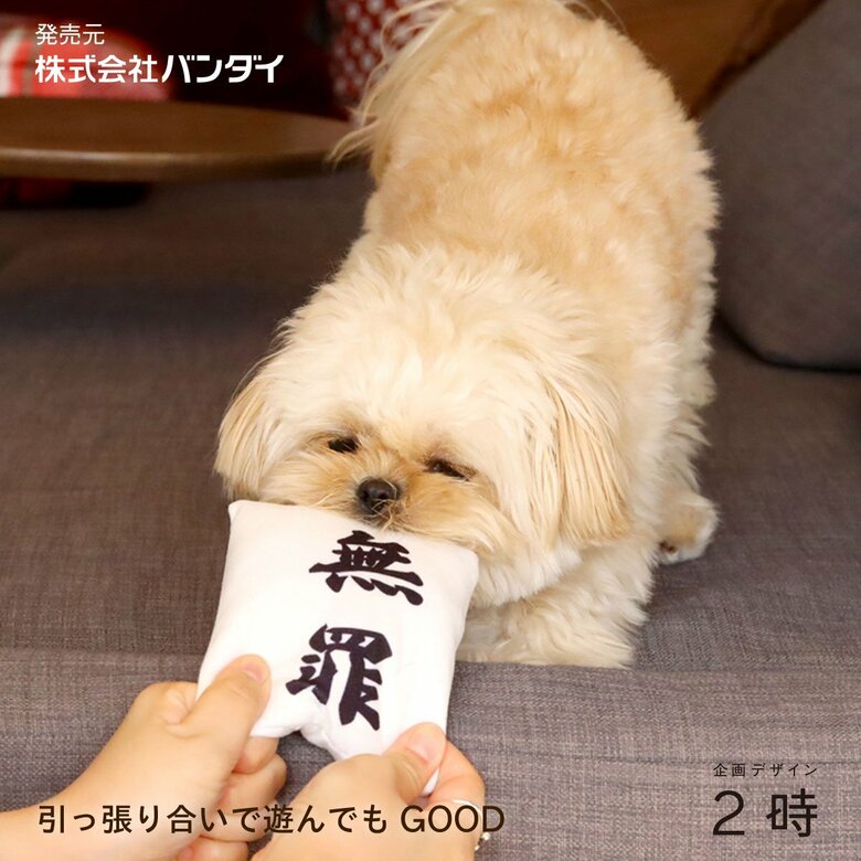 引っ張り合いで遊んでもGOOD(提供:バンダイ)