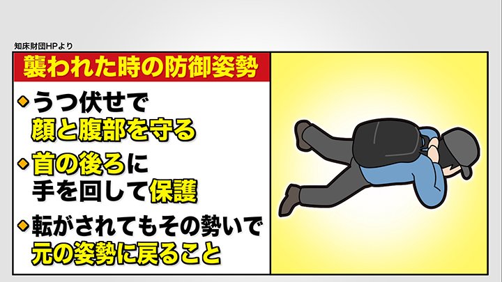 クマと遭遇した際は―