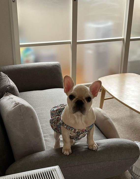 特等席（提供：みるくちゃん）