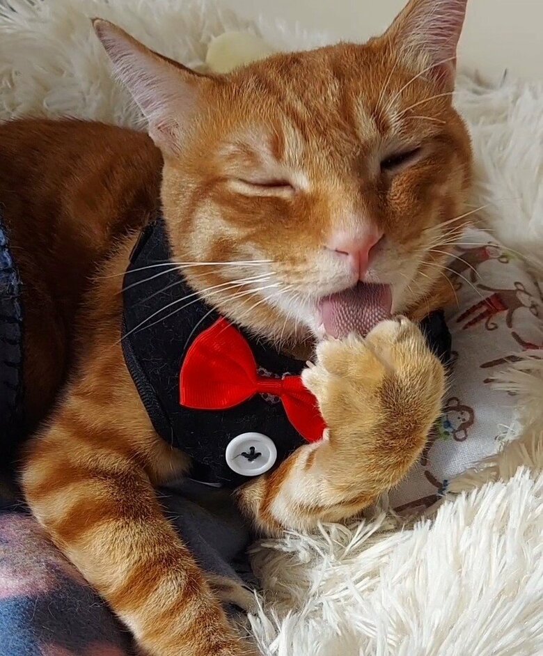 身だしなみもしっかりと