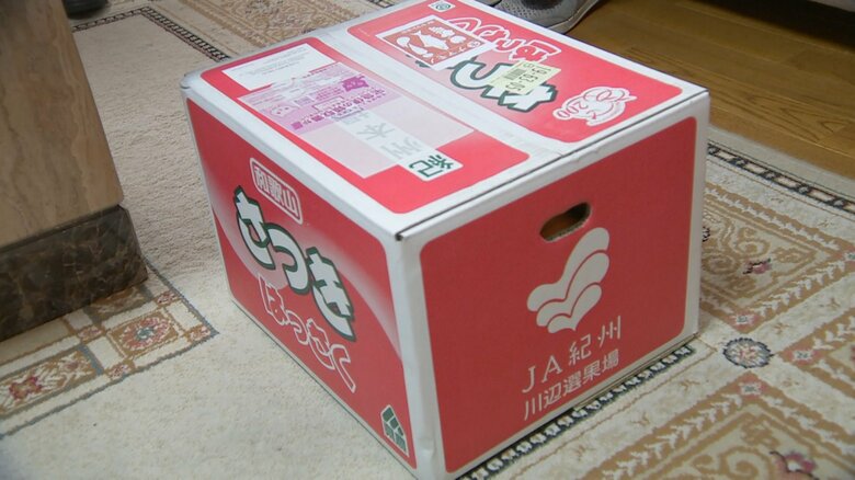 二階氏からウクライナ大使に「はっさく」が手渡された。